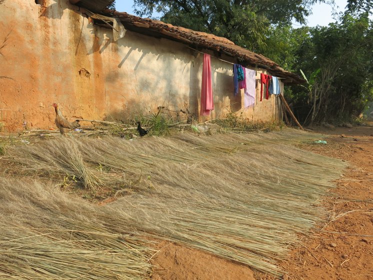 Left: While a  forest department signboard in Patrapali advocates forest protection, officials have issued a clearance for the coal mine, noting that the effect of cutting of 1.3 lakh trees 'will be negligible'. Centre: Bijli Munda of Mundapada, Talabira, with the brooms she makes with forest produce, which she will sell for Rs. 20-25 each. Right: Brooms drying outside houses here; these are just one of the many forest products from which villagers make a livelihood