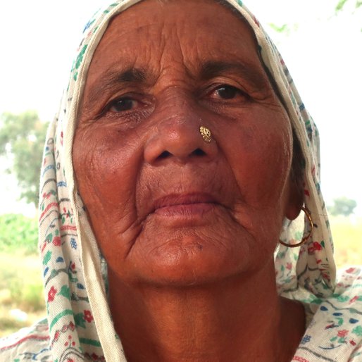 Charno is a MGNREGA worker and farm labourer from Changeran, Rajpura, Patiala, Punjab