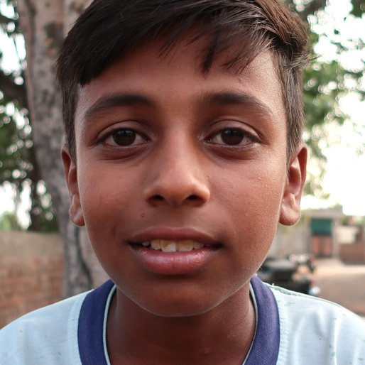 Rahul Singh is a Student (Class 8) from Mirzapur, Ghanour, Patiala, Punjab