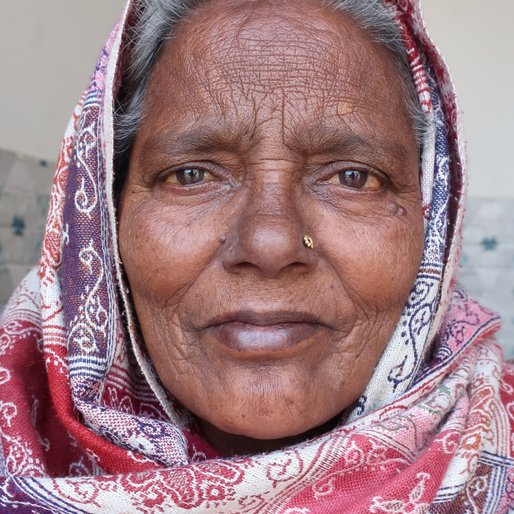 Karnail Kaur is a Homemaker from Choura, Sanaur, Patiala, Punjab