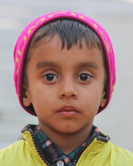 Arpit