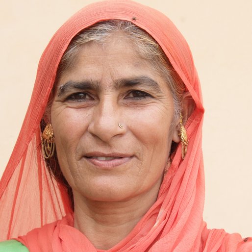 Ilaichi is a Homemaker from Chindhar, Fatehabad, Fatehabad, Haryana