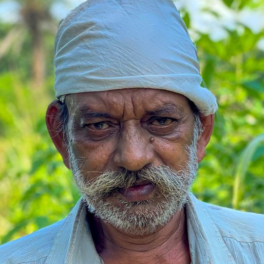 Kadiyabhai Rathva is a Farmer (cultivates cotton, corn, peanuts, <em>bajra</em> and <em>tur</em>) and traditional healer from Malaja, Chhotaudepur, Chhotaudepur, Gujarat