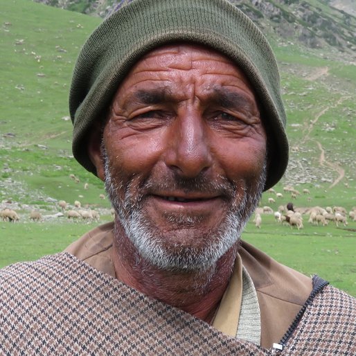 Mohammed Rajab Chopan is a Goat and sheep herder from Burnabugh, Kangan, Ganderbal, Jammu and Kashmir