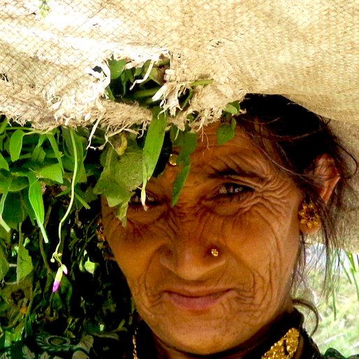 Bhagirathi Devi is a Farmer from Dunaghat, Lohaghat, Champawat, Uttarakhand
