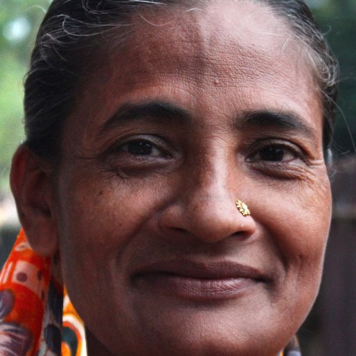 Nazreen Khan is a Homemaker from Bally (Census town), Bally Jagachha, Howrah, West Bengal