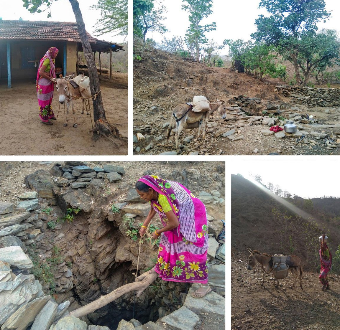 Dali Bada, who makes multiple trips downhill and uphill over several hours every morning with her donkey, to fill water from a stream or pits dug by villagers, says: "... at times I feel that there's no god; if there was one, why would women like me die filling pots with water?'