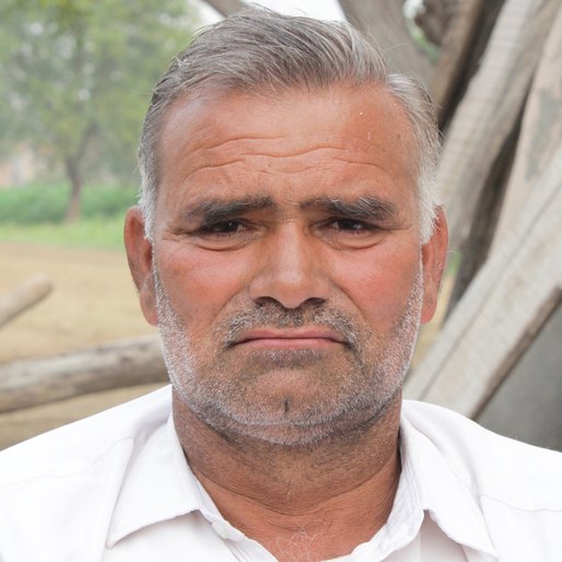 Omprakash Bishnoi is a Farmer from Chindhar, Fatehabad, Fatehabad, Haryana