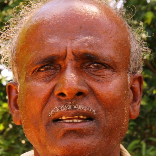 P. MUTHUKARUPPAN is a Small farmer; raises Jallikattu bulls from Oothikulam, Sivagangai, Sivagangai, Tamil Nadu