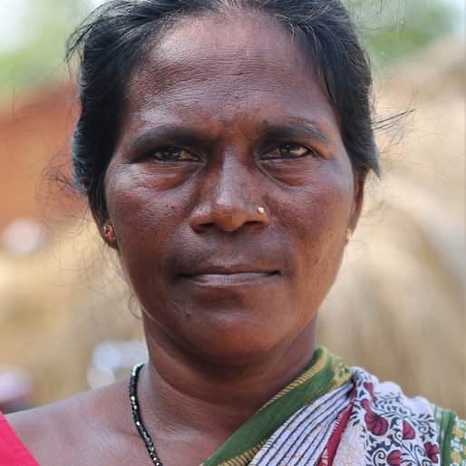 Pravati Hansda is a Daily wage labourer from Dandbose, Rairangpur, Mayurbhanj, Odisha