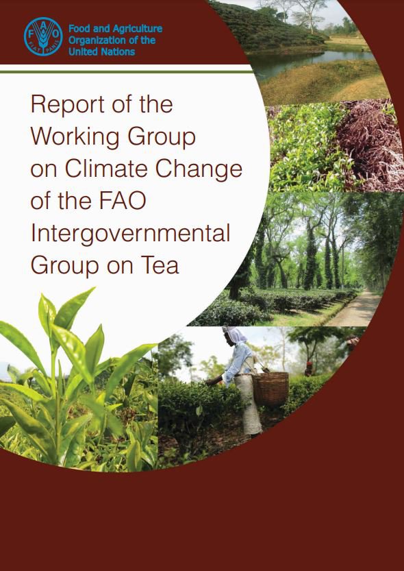 Report of the Working Group on Climate Change of the FAO Intergovernmental Group on Tea
