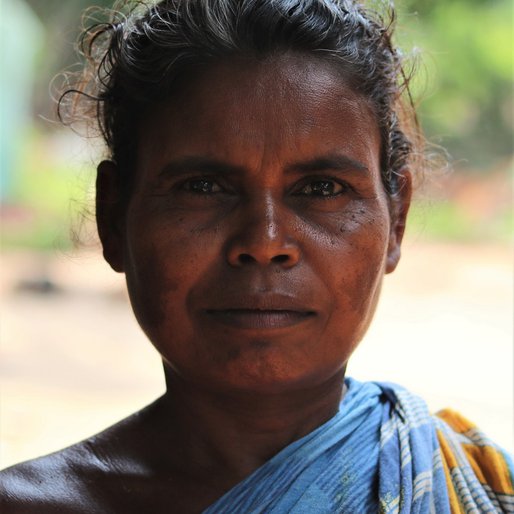 Sumi Murmu is a Daily wage labourer from Purunapani, Thakurmunda, Mayurbhanj, Odisha