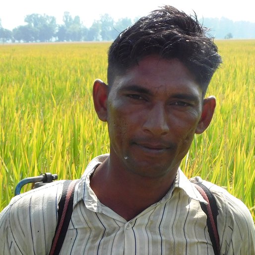 Surjit Singh is a Farmer and pesticide sprayer from Ratta Theh, Jakhal, Fatehabad, Haryana