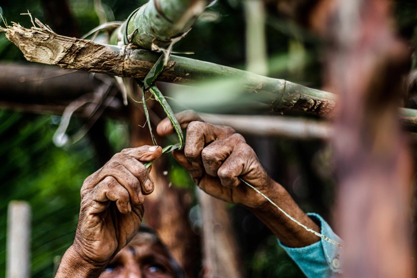 Vishnu Bhosale is tying the rafters and wooden stems using agave fibres. He has built over 10 jhopdis and assisted in roughly the same number