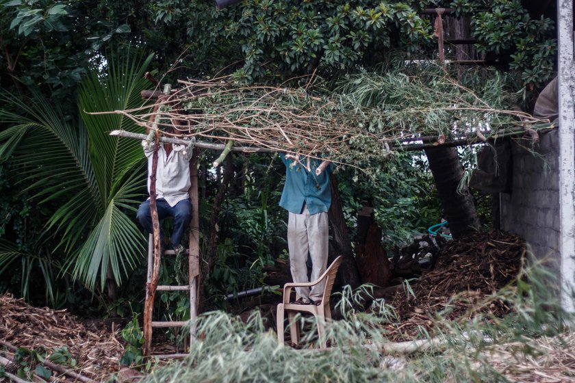 Narayan and Vishnu (in a blue shirt) building a jhopdi at Narayan's farm in Kolhapur’s Jambhali village.