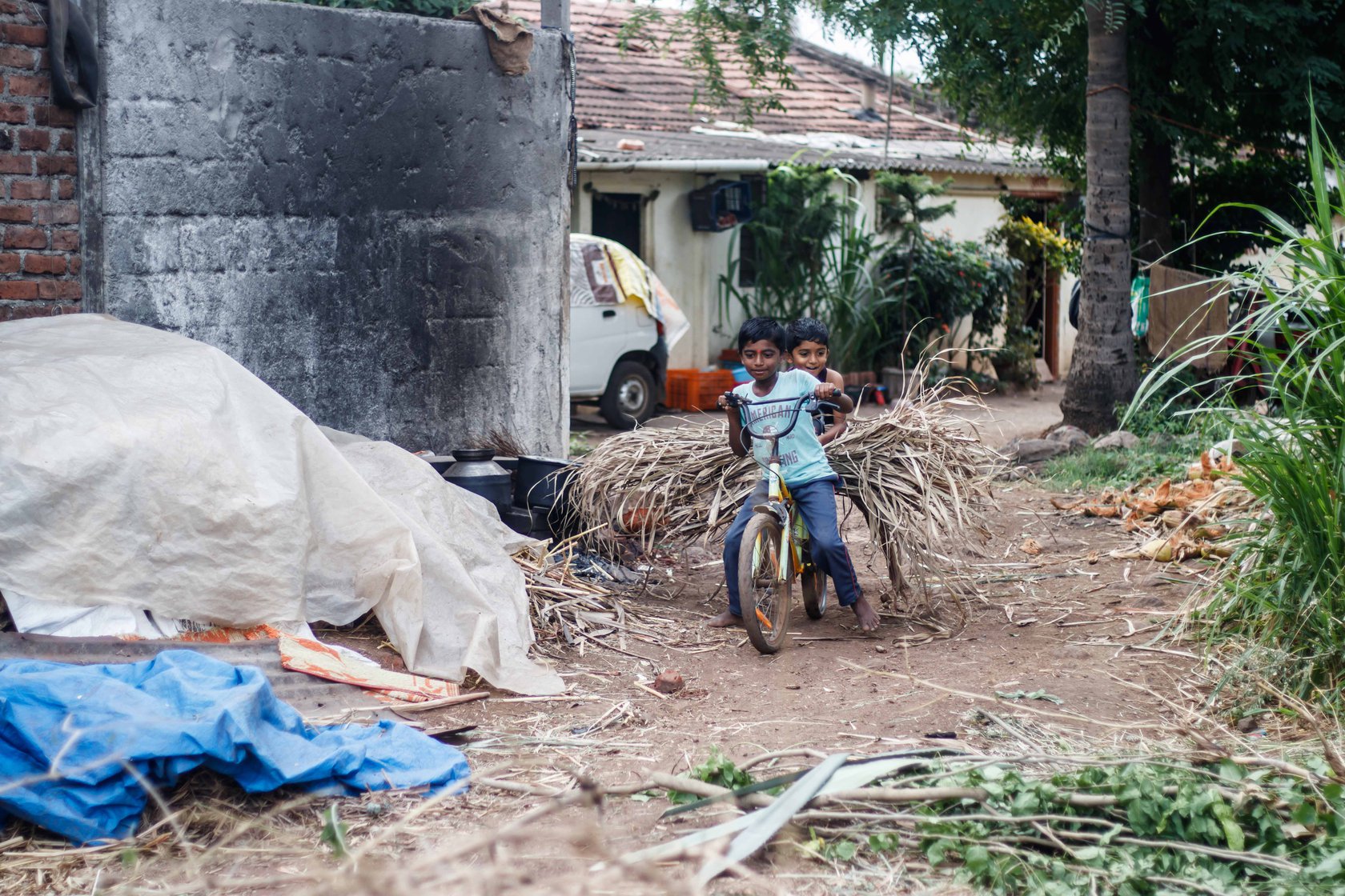 Narayan’s grandson, Varad Gaikwad, 9, bringing sugarcane tops from the field on the back of his cycle to help with the thatching process.