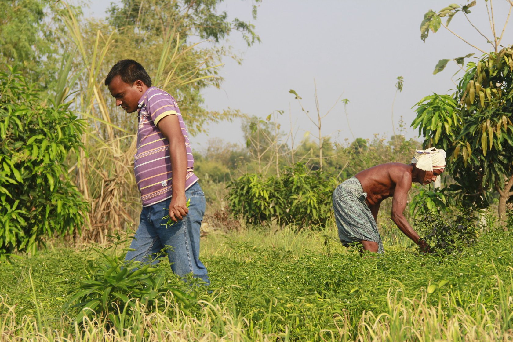 two men at farm