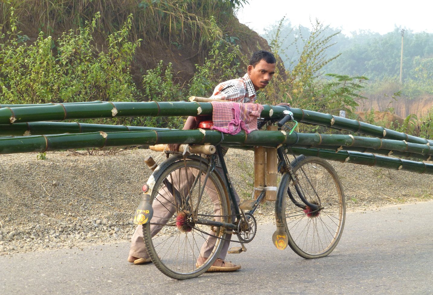Ratan Biswas carries five bamboos, each 40-45 feet in length, balanced on and tied to his bicycle. 