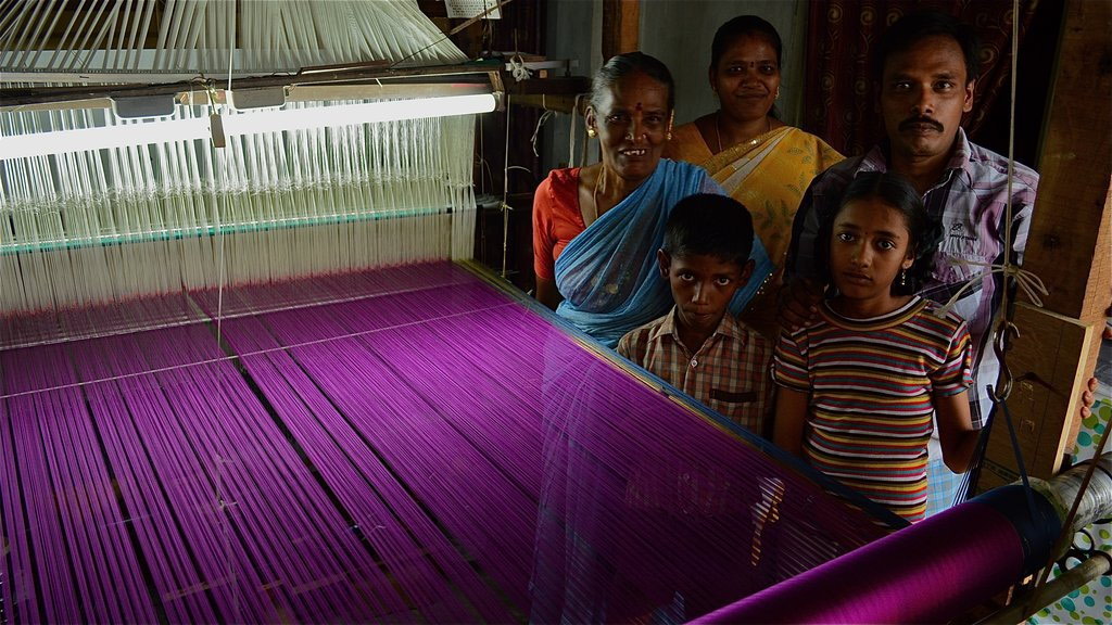 A family of weavers