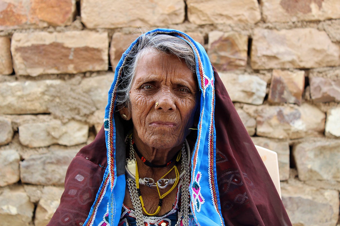 Sturdy cattle that sustain fragile communities