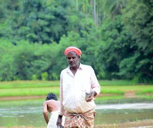 Farmer holding steel tumbler next to paddy field