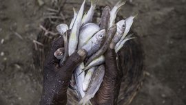 ہندوستانی ماہی گیر برادریوں کیلئے مزید گہرا ہوتا سمندر