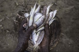 In the deep: India's fishing communities