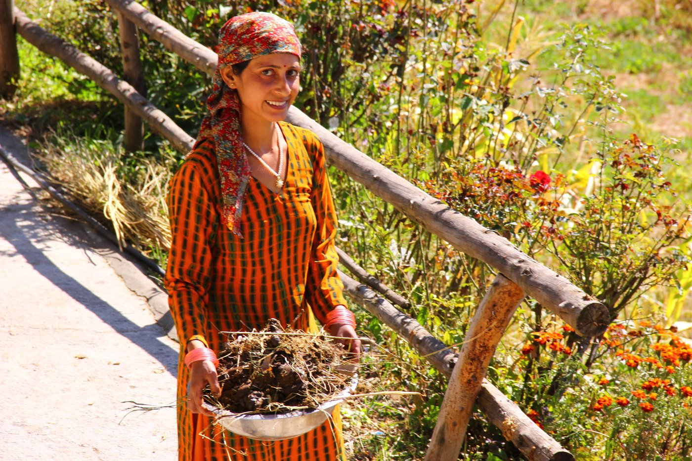 The hill-women of Himachal