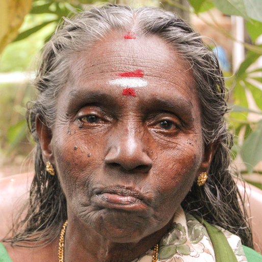 OMANA GOVINDAN is a Folk singer from Kodakara, Chalakkudy, Thrissur, Kerala