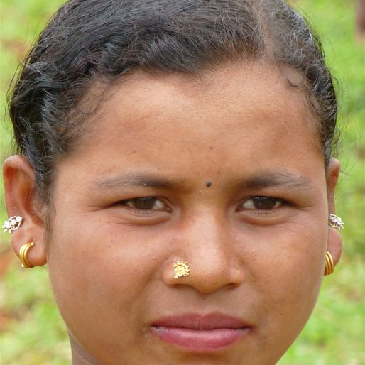 PANDI PANA  is a Agricultural labourer from Sindehi, Pottangi, Koraput, Odisha