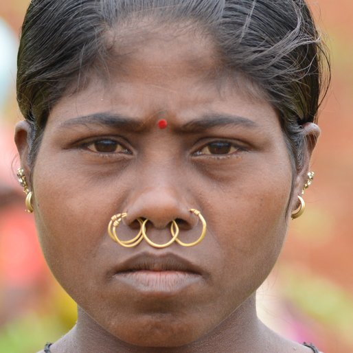 PANDI BANU  is a Agricultural labourer from Sindehi, Pottangi, Koraput, Odisha
