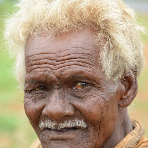UGRASEN GOUD is a Landless labourer; farm caretaker from Koraput, Pottangi, Koraput, Odisha