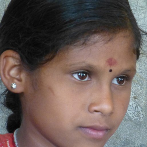 VAIDEHI CHEGUPPA is a Student, Edeliparakudi primary school from Edeliparakudi, Devikulam, Idukki, Kerala